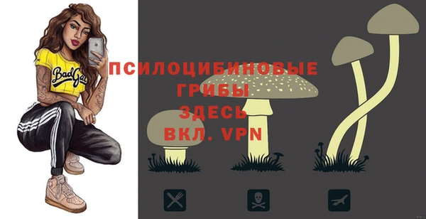 ALPHA PVP Нефтегорск