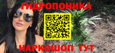 сатива Балаково