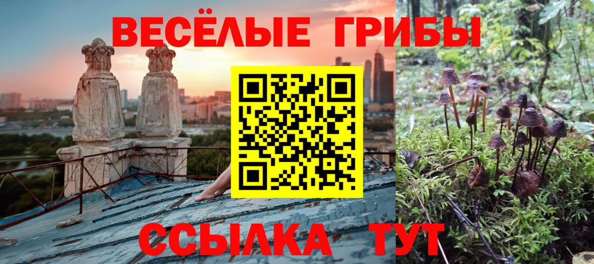 Галлюциногенные грибы мицелий  Вход с VPN  Истра 