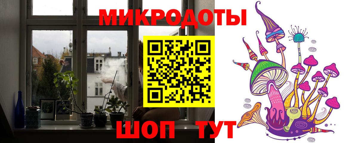 Псилоцибиновые грибы мицелий  Истра 